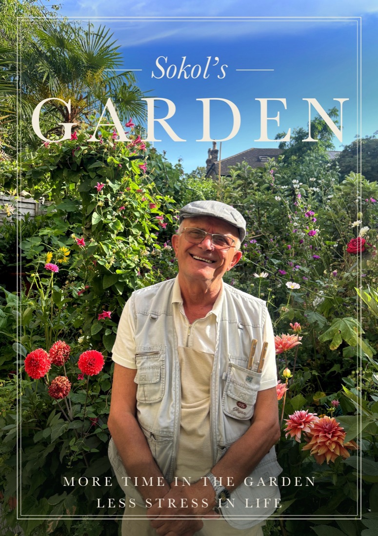 The cover of Sokol's Garden: Sokol, smiling, among the dahlias in his London garden.
